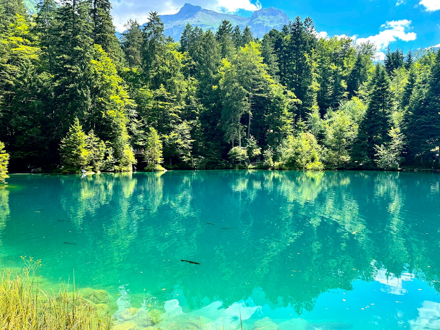 群山和针叶林环绕的蓝绿色湖泊